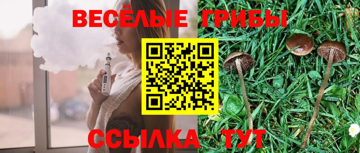 Галлюциногенные грибы MAGIC MUSHROOMS  Вход с VPN  Ставрополь 